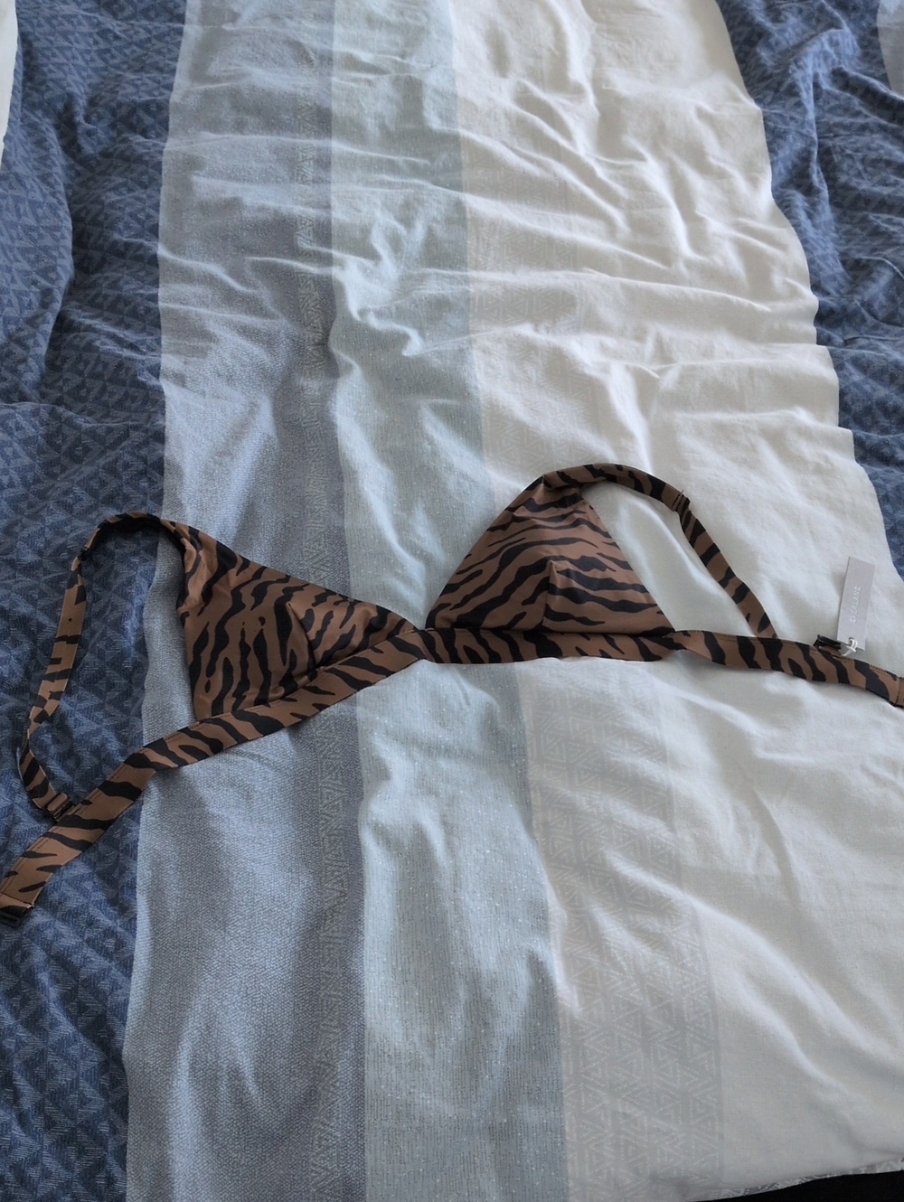 NWT Everlane Swim Top